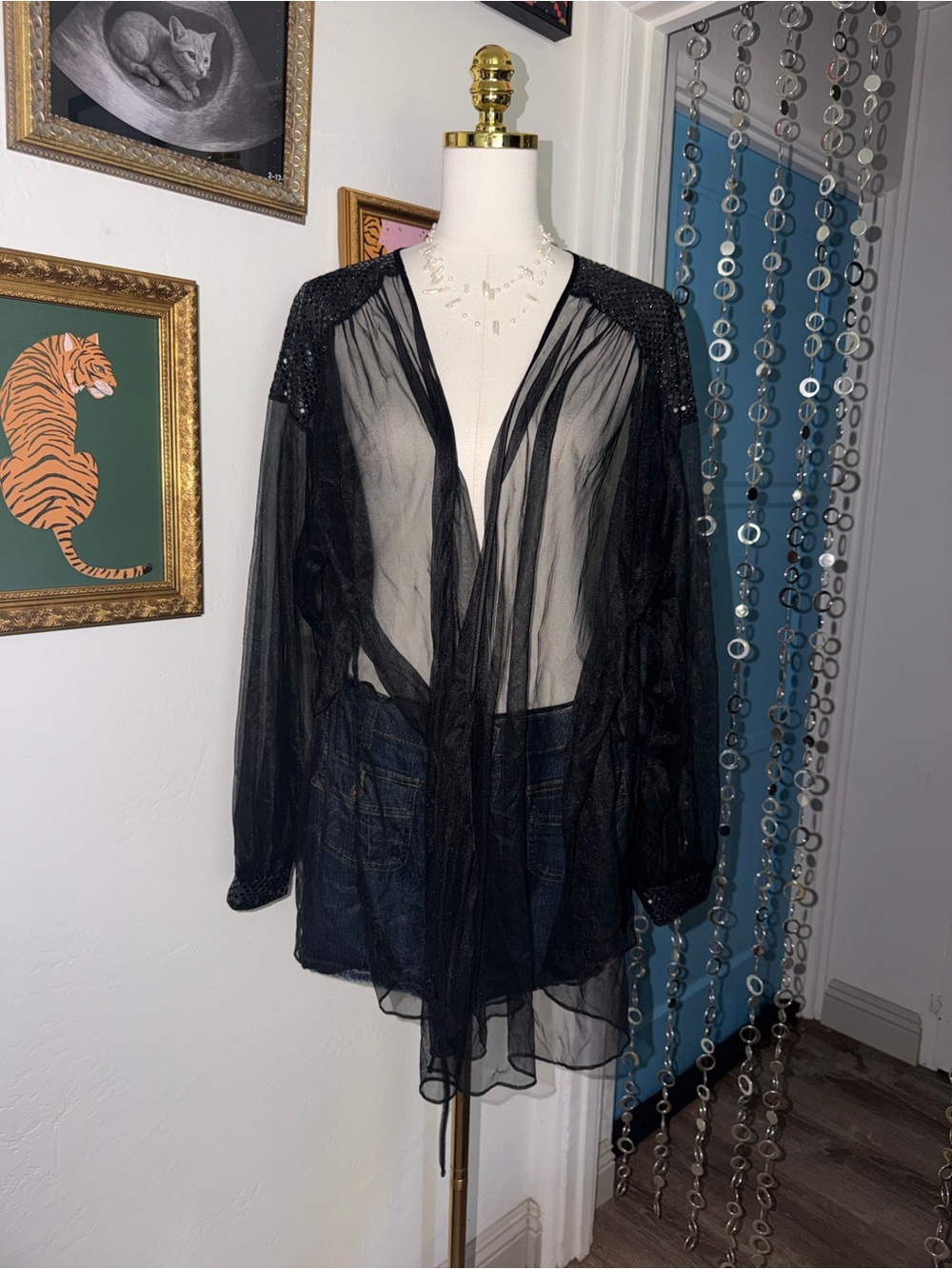 Vintage Sheer Black Sparkly Robe